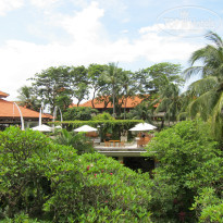 фото из отзыва ID 478225