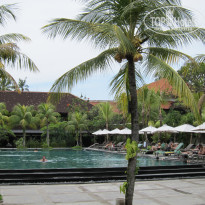 фото из отзыва ID 478232