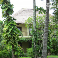 фото из отзыва ID 478232