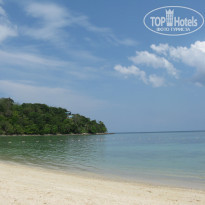 фото из отзыва ID 478258