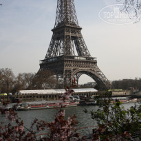 фото из отзыва ID 478300