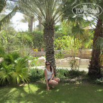 фото из отзыва ID 478481