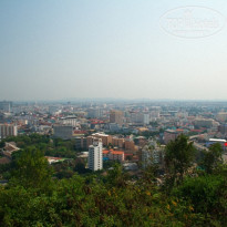 фото из отзыва ID 478495