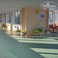 фото из отзыва ID 478940