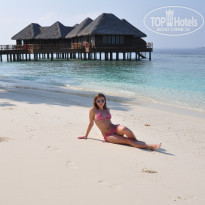 фото из отзыва ID 478456