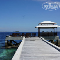 фото из отзыва ID 479040