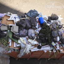 фото из отзыва ID 479378