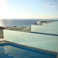 фото из отзыва ID 479454