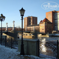 фото из отзыва ID 479503