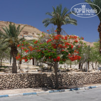 фото из отзыва ID 479618