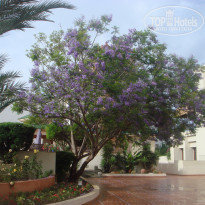 фото из отзыва ID 479624