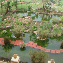 фото из отзыва ID 479628