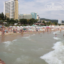 фото из отзыва ID 479688