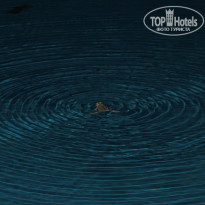 фото из отзыва ID 479754