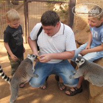 фото из отзыва ID 479766