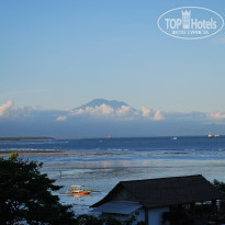 фото из отзыва ID 479815