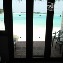 фото из отзыва ID 479081