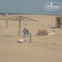 фото из отзыва ID 479967