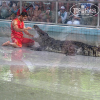 фото из отзыва ID 479976