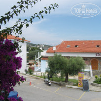 фото из отзыва ID 480006