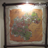 фото из отзыва ID 480078