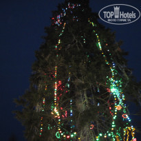 фото из отзыва ID 480078