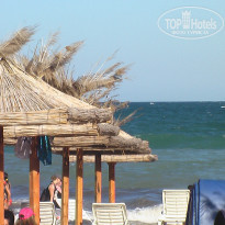 фото из отзыва ID 480287