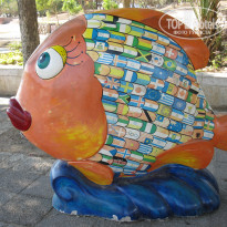 фото из отзыва ID 480541