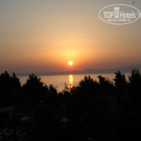 фото из отзыва ID 480871