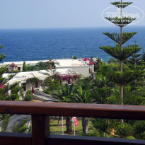 фото из отзыва ID 480968