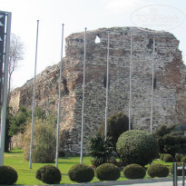 фото из отзыва ID 481121