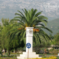 фото из отзыва ID 481526