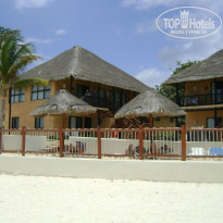 фото из отзыва ID 481717