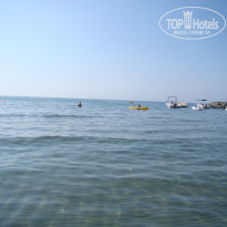 фото из отзыва ID 481734