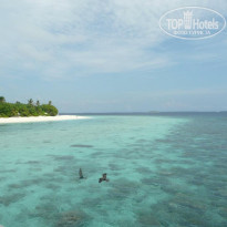 фото из отзыва ID 481841