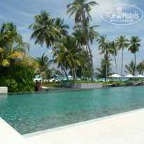 фото из отзыва ID 481841