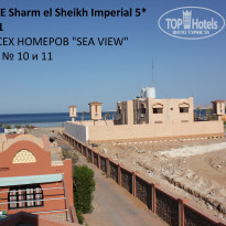 фото из отзыва ID 481840