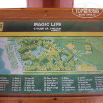 фото из отзыва ID 481840