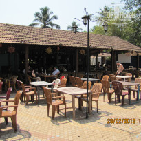 фото из отзыва ID 481872