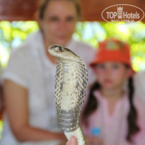 фото из отзыва ID 482004