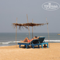 фото из отзыва ID 482165