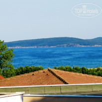 фото из отзыва ID 482177