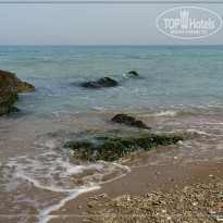 фото из отзыва ID 482269