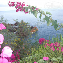 фото из отзыва ID 482271