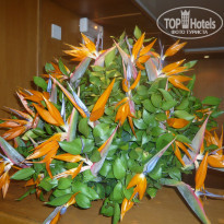 фото из отзыва ID 482271