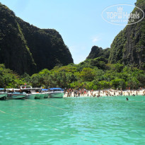 фото из отзыва ID 482386