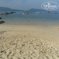 фото из отзыва ID 482386