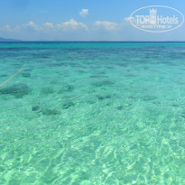 фото из отзыва ID 482386