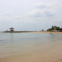 фото из отзыва ID 482595