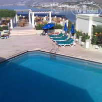 фото из отзыва ID 482158